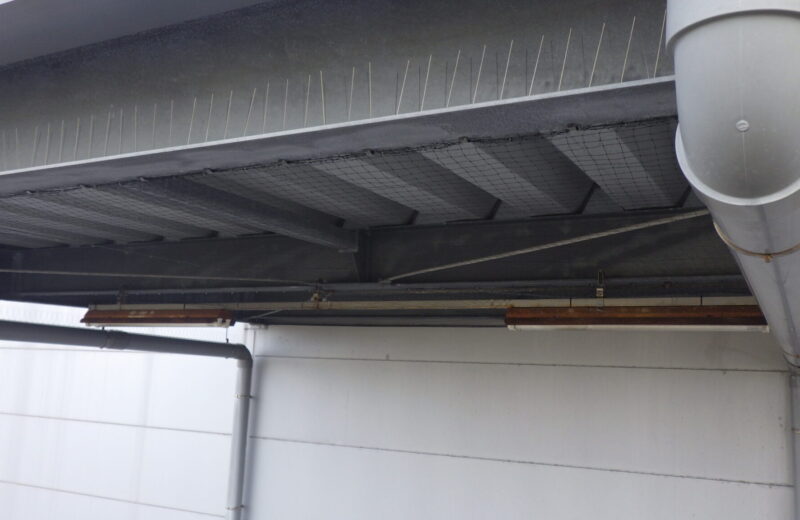 下新川郡の会社様で鳥害対策を実施いたしました。 サムネイル